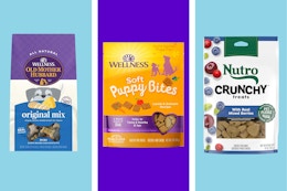 Save Up to 53% on Dog Treats With Amazon Promotion: 3 Bags Under $15 card image