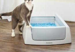 Self-Cleaning Litter Box, Only $99 at Walmart ($125 at Amazon) card image