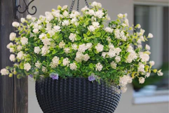 artificial flowers hanging