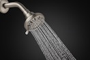 The Home Depot Glacier Bay shower head