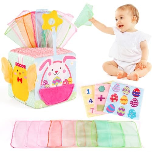 Baby Tissue Box Toy