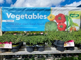 Stock Up — Lowe’s Has 5 for $10 Bonnie Herbs and Veggies card image