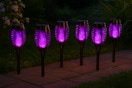solar lights