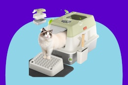 This $130 Enclosed Cat Litter Box Is Down to $53 on Amazon card image