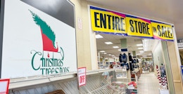 All Christmas Tree Shops Are Now Closed — Now What? card image