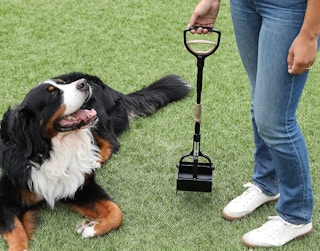 arm&hammer-dog-pooper-scooper-amazon