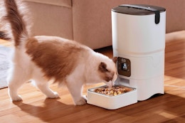 Smart Automatic Cat Feeder, Only $29.99 on Amazon card image