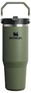STANLEY IceFlow Flip Straw Tumbler