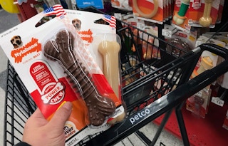 petco black friday nylabone 1541468553