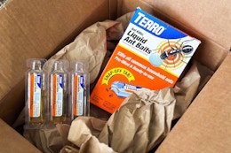 terro liquid ant baits