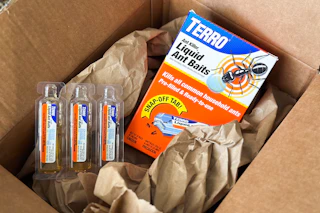 terro liquid ant baits
