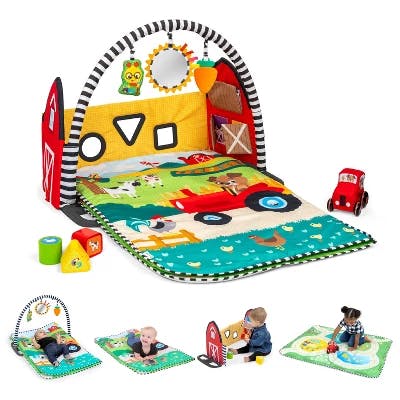 Baby Einstein Activity Gym