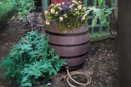 50-Gallon Rain Barrel, $134 on Amazon (Reg. $250) card image