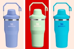 stanley ice flow tumbler