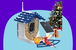 NAVFS Smart Bird Feeder with Camera Solar Powered on a blue background.