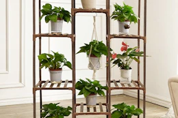 a wooden plant stand