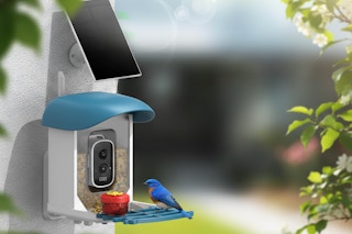 a solar bird feeder