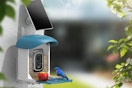 a solar bird feeder