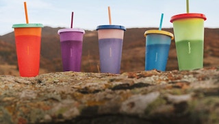 amazon cups 1626611599 1626611600 e1626611616471