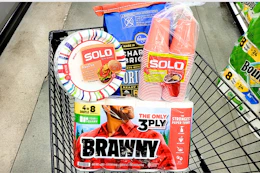 july 4th cookout essentials in shopping cart