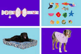 collage image of dog in a jacket, dog in a bed, pet collar, and cat toys