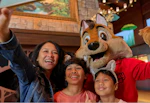 Great Wolf Lodge Stay
