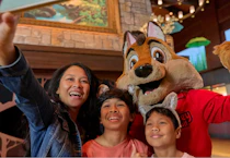 Great Wolf Lodge Stay