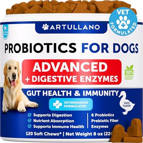 Dog Probiotics