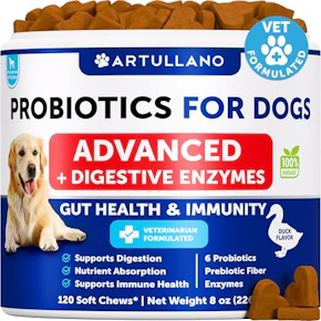Dog Probiotics