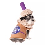 Latte Pet Halloween Costume