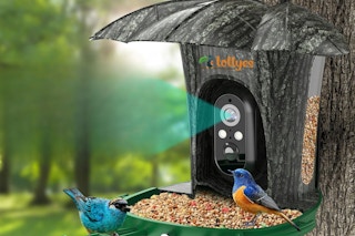 smart bird feeder-amazon