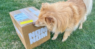 a dog sniffing a nom nom dog food box