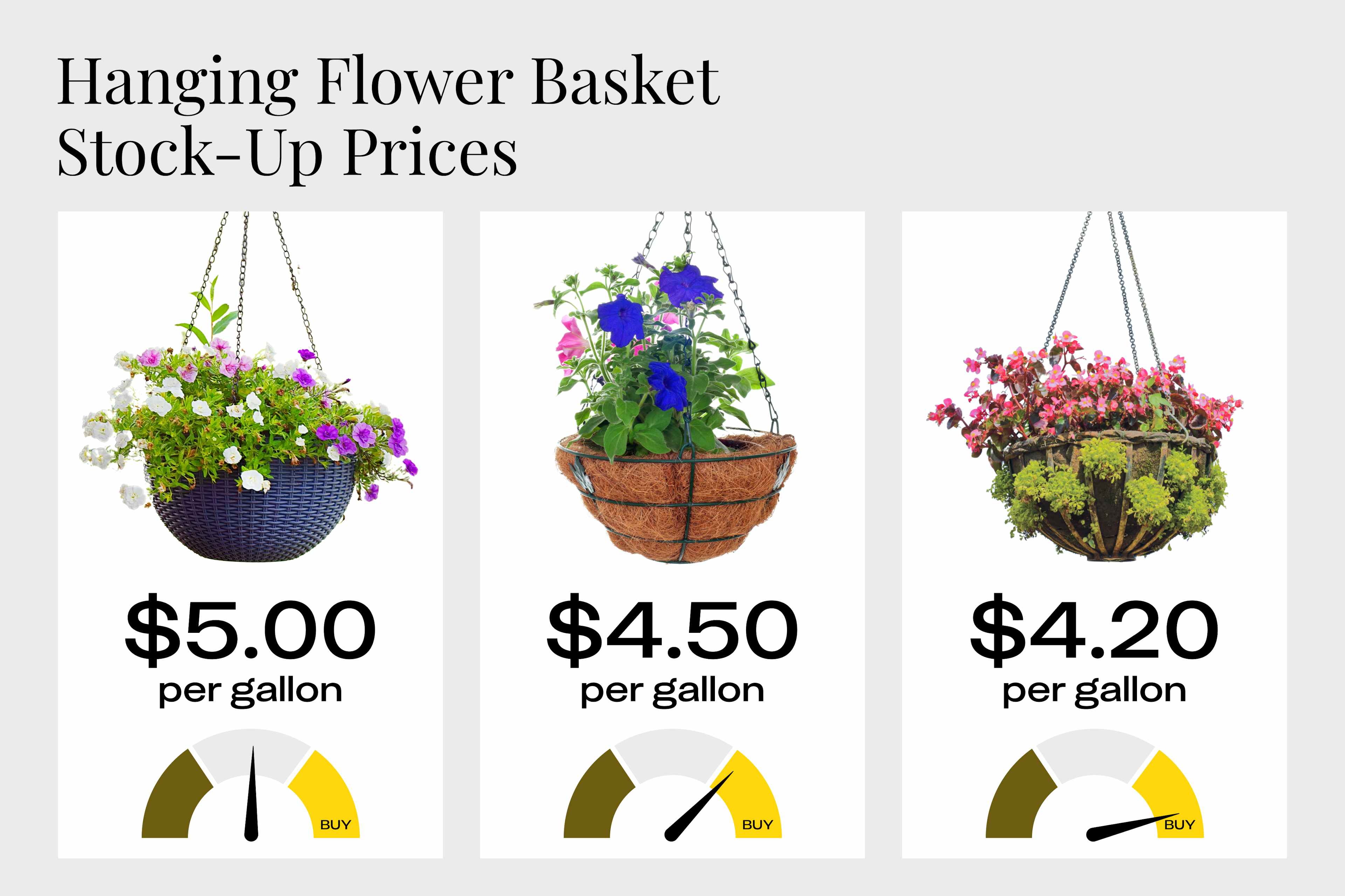 Hanging flower basket stock-up prices in 2024: aim to pay no more than $5 per gallon