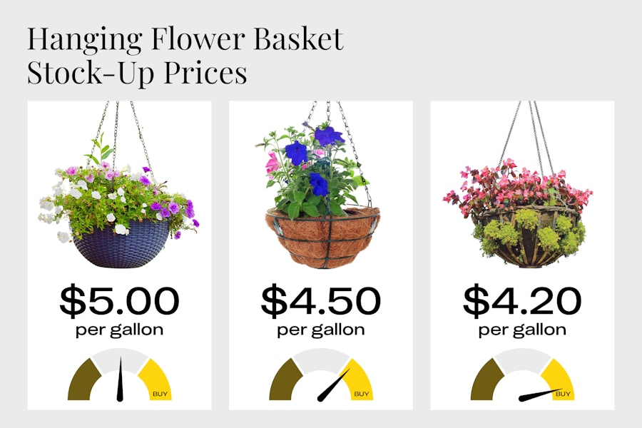 Hanging flower basket stock-up prices in 2024: aim to pay no more than $5 per gallon