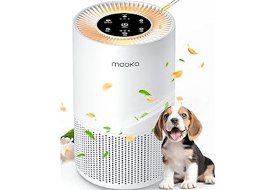 HEPA Air Purifier