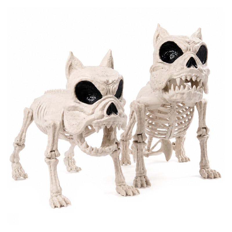 Posable Dog Skeleton Decor