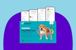 Embark Breed and Health Dog DNA Test on Sale for Amazon Pet Day card image