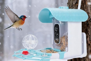 a bird feeder outside on a tree