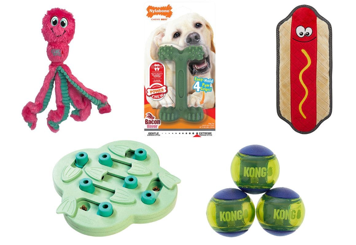 5 Pet Toys