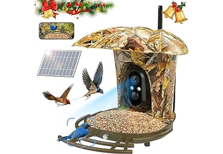 AI Smart Bird Feeder With Camera