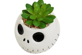 Jack skeleton planter with a faux succulent
