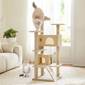 Multi-Level Cat Tree