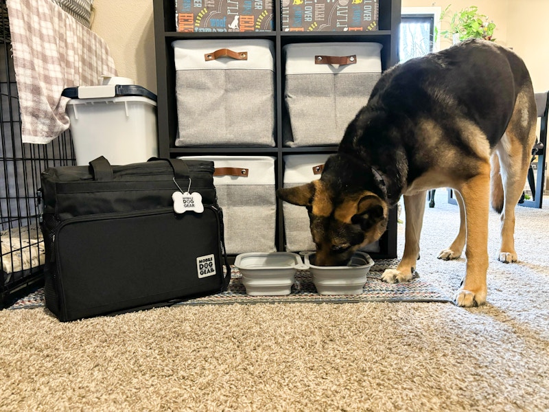 chewy-pet-travel-tote-2