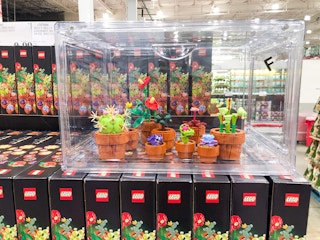 a display with lego plants