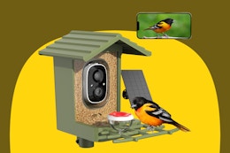 Bird Feeder with solar panel