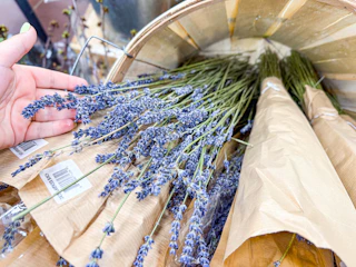 trader-joes-floral-15