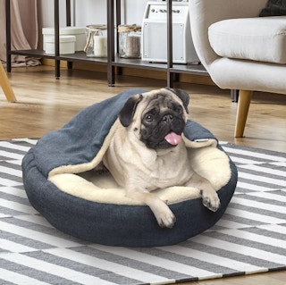 pet bed