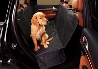 amazon pet car cover 1683032295 1683032295 e1683032315268