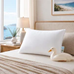 Duck Down Pillow
