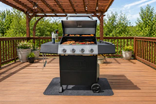 Walmart Expert Grill propane gas grill
